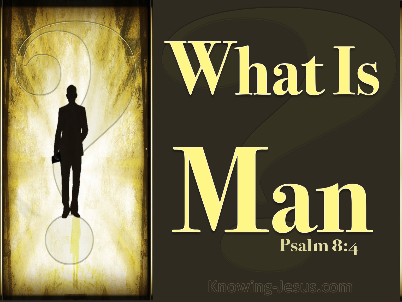 What Does Psalm 8 4 Mean 
